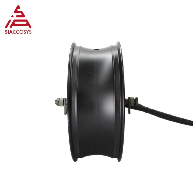 Motor de cubo de rueda eléctri - 12000W Electric Motorcycle Hub Motor reseña y precio