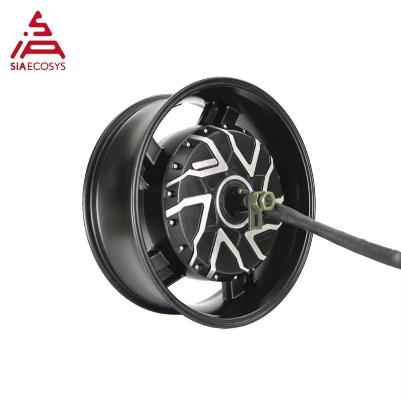 Motor de cubo de rueda eléctri - 12000W Electric Motorcycle Hub Motor reseña y precio