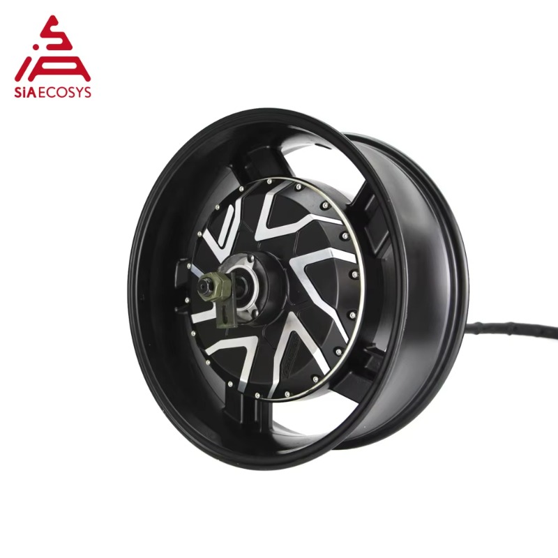 Motor de cubo de rueda eléctri - 12000W Electric Motorcycle Hub Motor reseña y precio